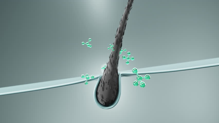 Animation of molecules penetrating the hair follicle, showing advanced serum absorption, root repair and scalp treatment for hair growth and anti-hair loss care.