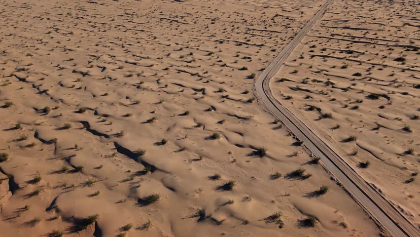 A sandy desert floor with scattered shrubs and small dunes, warm tones under morning sunlight