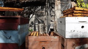 A scene at an apiary with wooden beehives, showcasing a beekeeping smoker, highlighting the vital role of beekeeping in agriculture, pollination, honey production, and supporting local farming - Powered by Shutterstock - Get 15% off with code: PIKWIZARD15