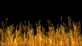 Golden fiber‑optic filaments flicker from the bottom, creating a radiant particle field. Great for luxury tech, power, and festive motion design. - Powered by Shutterstock - Get 15% off with code: PIKWIZARD15
