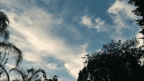 Evening Sky Time-Lapse with Wispy Clouds and Tree Silhouettes - Powered by Shutterstock - Get 15% off with code: PIKWIZARD15