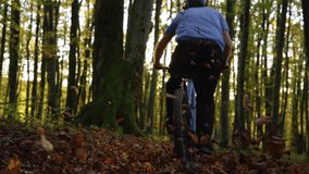 LOW ANGLE VIEW, LENS FLARE, SLOW MOTION: Mountain biker rides fast through glowing forest at sunset, scattering dry autumn leaves. Freedom, energy and joyful biking in beautiful nature in fall season - Powered by Shutterstock - Get 15% off with code: PIKWIZARD15