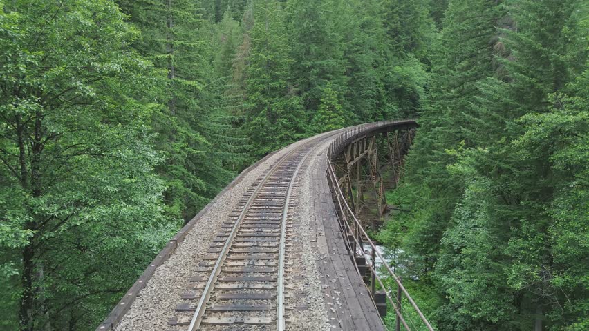Foss Creek railroad bridge in Washington. Flight travels along the bridge deck, featuring the surrounding forest. Bridge is an active railroad.