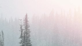 As snowflakes drifting pastel light filtering tilting revealing lake and rocky shore beneath firs. Winter, tranquility, nature, landscape, serenity, atmospheric, scenic - Powered by Shutterstock - Get 15% off with code: PIKWIZARD15