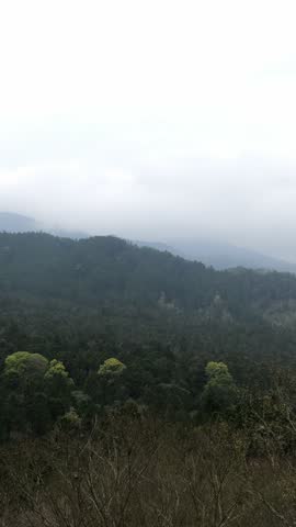 Vertical video of mist over rolling hills and mountains in Xitou Nature Education Area in Taiwan