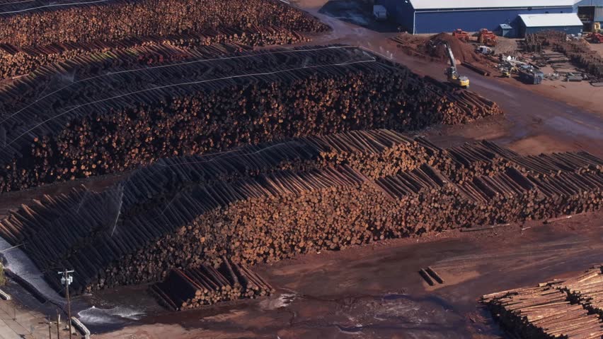 Aerial view of logs stacked at a sawmill in California, conveying busy industry