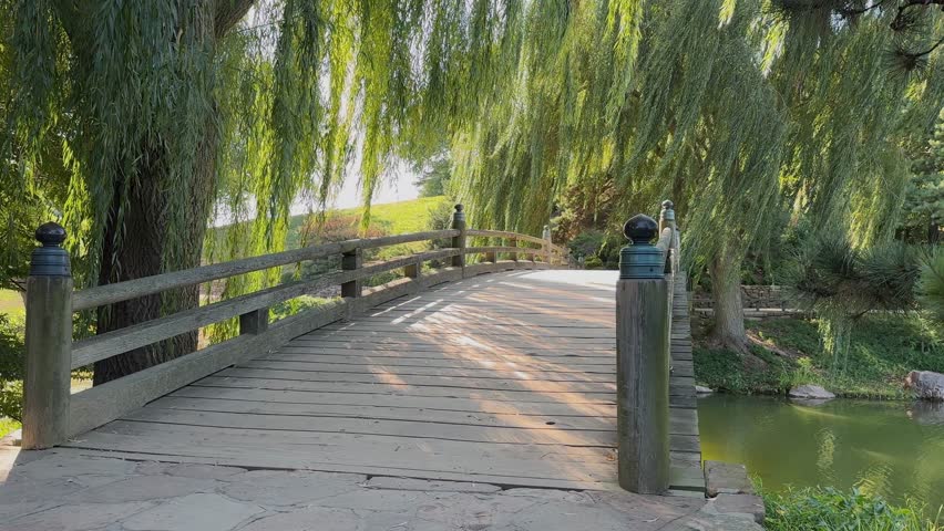 Serene wooden bridge at Chicago Botanic Garden under lush willow trees