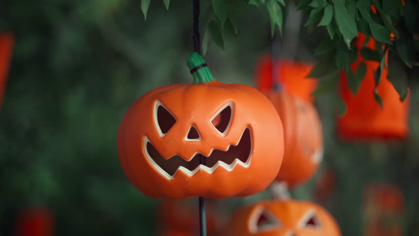 Halloween pumpkin lantern hanging on tree branch outdoors in daylight, spooky jack o lantern decoration with smiling scary face, autumn holiday festive background, Halloween celebration and seasonal.