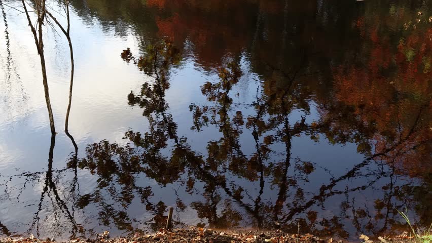 coloured leaves reflecting in the lake