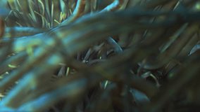 Super macro shot of a fluorescent anemone underwater. Tentacles moving in the current. - Powered by Shutterstock - Get 15% off with code: PIKWIZARD15