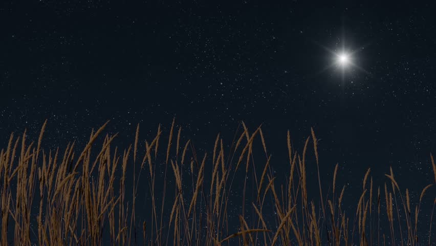 Bright Christmas star shining above peaceful winter night.