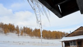 A close-up of a sharp icicle hanging from a wooden roof in Mongolia. In the background, a snowy landscape with golden-leafed autumn trees creates a beautiful, crisp winter scene. - Powered by Shutterstock - Get 15% off with code: PIKWIZARD15