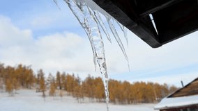 A sign of winter's arrival in the Mongolian countryside. An icicle forms on a building as the last of the autumn-colored trees stand in the snowy background. - Powered by Shutterstock - Get 15% off with code: PIKWIZARD15