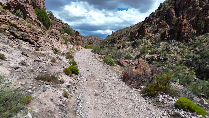 Aerial view of a winding path between the canyon walls, a beautiful contrast of earthy tones and lush green vegetation, Globe, Arizona, United States.