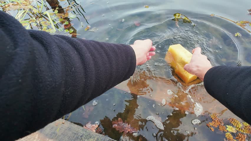 Observe a vibrant yellow sponge beside a calm water body, where the clear surface reflects lush green surroundings, capturing the essence of unspoiled nature and enabling playful interaction