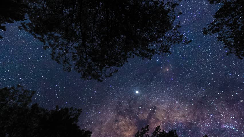 Ground view on Milky Way from forest. Timelapse shot, Earth rotation concept. Camera is zooming out. Wide angle lens shot