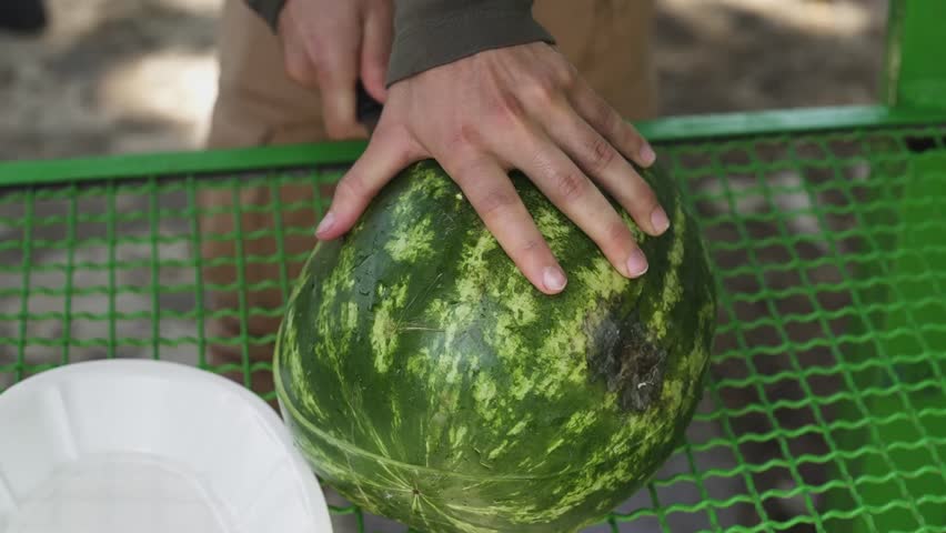 Cutting and opening the watermelon