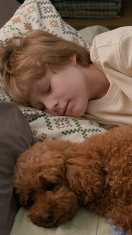 Vertical shot of pre-teen kid taking afternoon nap lying on pillow next to cute brown poodle after playing together at home