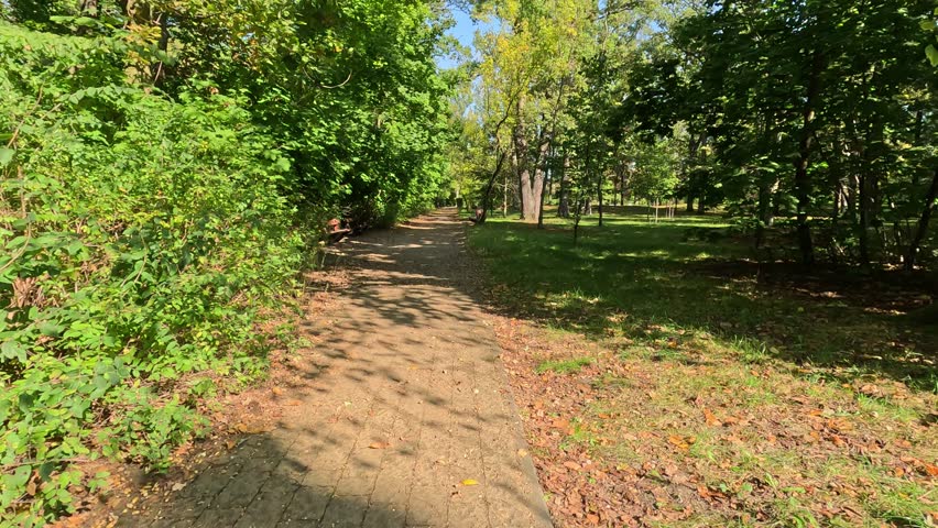 Walking along a cobblestone park path surrounded by green trees, bushes, and benches on a sunny day