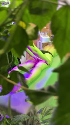 A young woman receives a classic foot massage in a beauty salon or spa