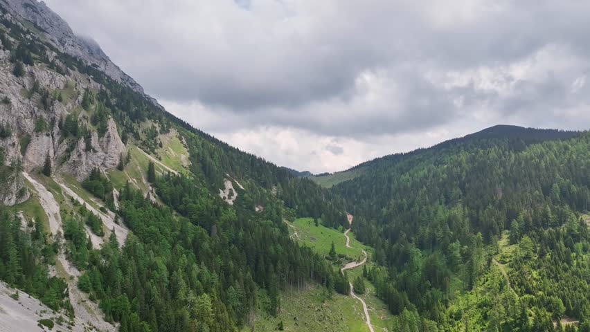 Cinematic aerial drone footage of Slovenia Alps. forest on cloudy summer day showing green mountain trees, peaceful atmosphere, natural landscape and calm outdoor alpine scenery