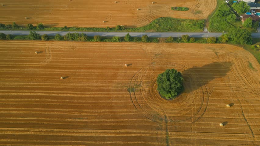 An aerial view of a golden field with several hay bales, trees, and a road on the edge on a sunny day