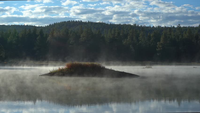 Morning fog surrounding a small island on a forest lake