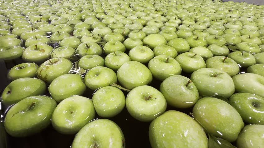 A closeup footage of Green Granny Smith apples floating in a water basin before further processing and quality control at fruit sorting facility.