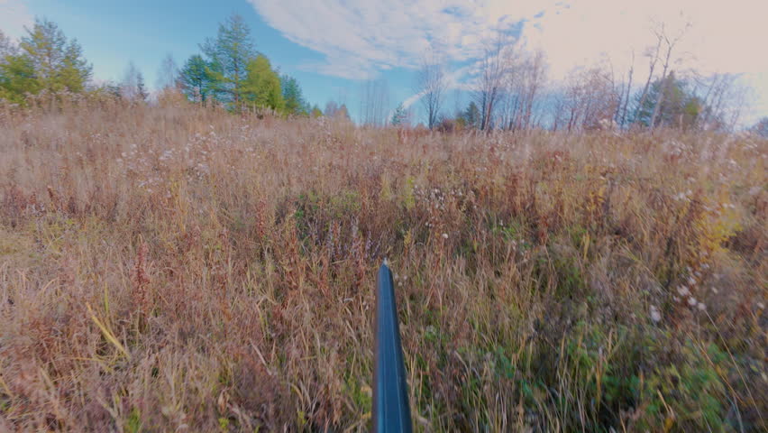 A hunter with a shotgun sneaks up and takes aim at the game. Autumn hunting with a double-barrelled shotgun. From the first person.