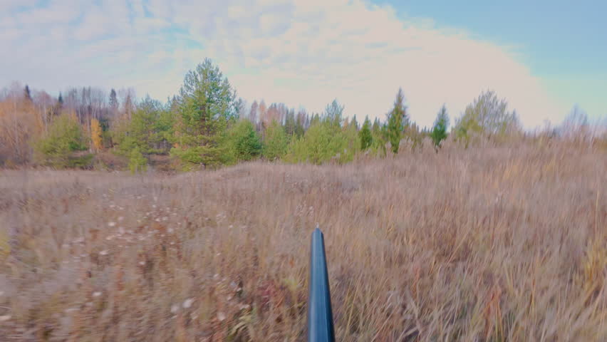 Autumn hunting of animals and birds. The hunter cautiously sneaks up to the game and takes aim at it. Hunting their shotgun. From the first person.