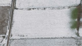 scene snow covered farming fields buggenhout belgium green grass yellow brown trees winter landscape aerial flying view snow-covered - Powered by Shutterstock - Get 15% off with code: PIKWIZARD15