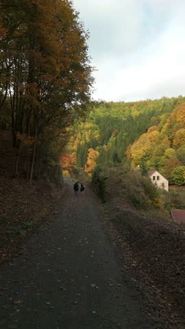 Aerial drone view of a golden autumn forest in the Czech Republic. Bright yellow and orange leaves cover the landscape, showing the peaceful beauty of fall.
