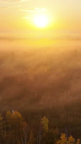 Beautiful dawn aerial shot of sunlight shining thought the trees and low fog in Minnesota in the autumn. Trees are turning their fall colors. Vertical video.