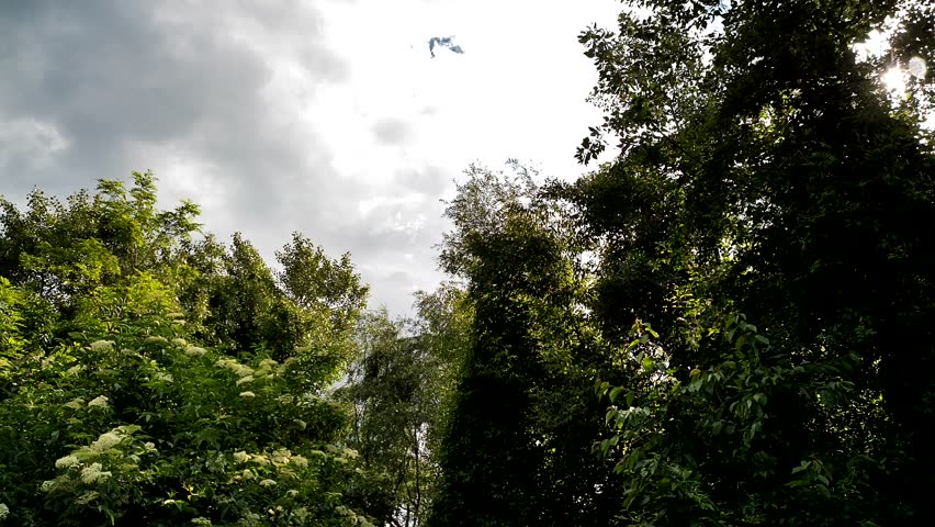 Vienna, Austria - 05.27.2025: The artificial Danube Island, created in the 1970s and 1980s.