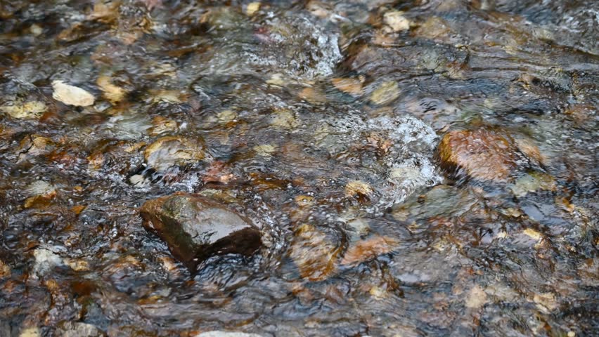 Stream in the mountain. Water flows over stones. River flowing. 