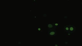 Vibrant doodle patterns of bioluminescent microorganisms in a dark environment, creating an abstract and dynamic visual display - Powered by Shutterstock - Get 15% off with code: PIKWIZARD15