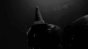 Halloween black cat portrait.Magical Witch Cat.Black cat in a witch hat in a dark. 4k footage - Powered by Shutterstock - Get 15% off with code: PIKWIZARD15