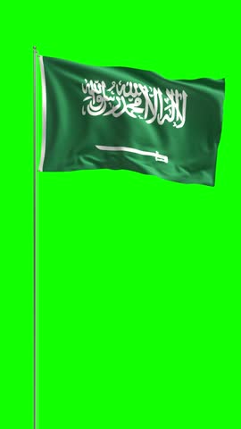 Vertical video of Saudi Arabia flag waving seamless loop on green screen with chroma key