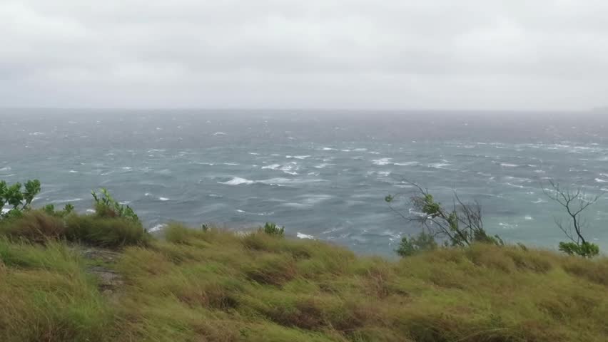A powerful storm hits the coast, bending the grass along the cliff as waves crash below. The air trembles with wind and salt spray.