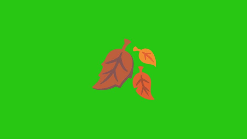Two falling autumn leaves shown on a solid bright green backdrop.