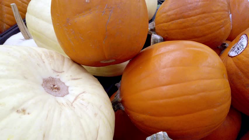 Bright orange pumpkins in a pile at a fall market evoke harvest vibes