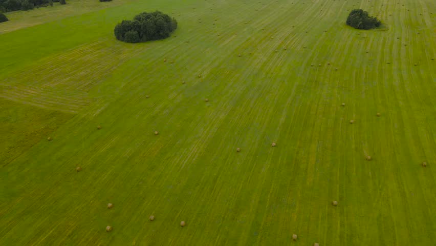 Aerial drone footage flying above a grassy green farm land field during a cloudy summer day while freshly made silage wheat hay bale rolls are on the grassy areas, Green trees visible in the back.