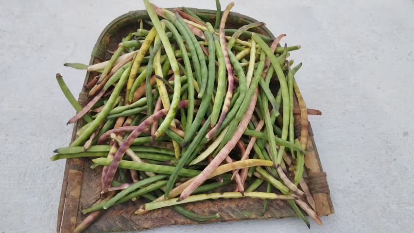 Fresh green and brown cowpea vigna unguiculata on basket white background.
