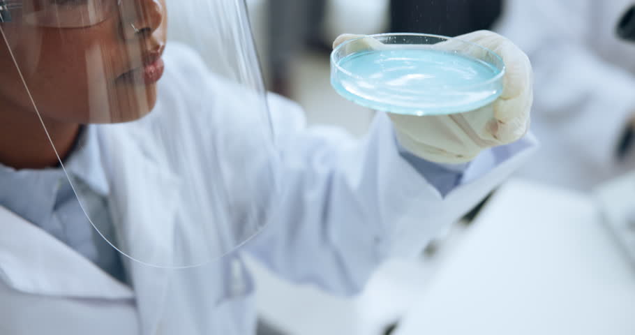 Petri dish, research and medical with woman in lab for microbiology, bacteria and pathogen study. Science, microorganism solution and analysis with person in clinic for pharmacy and vaccine cure