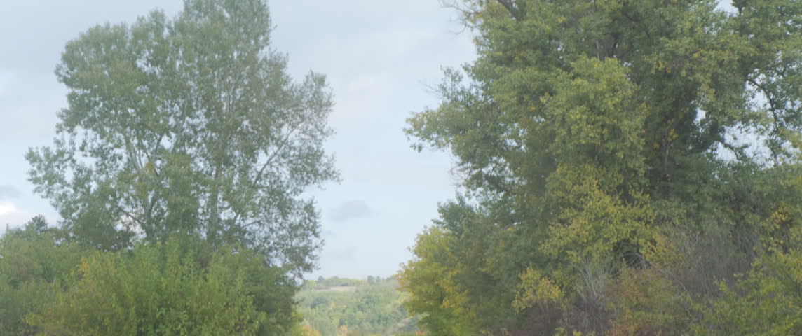 Tilting on railway line between trees in nature 4K anamorphic video