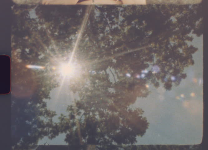 Zooming to sunlight flares through dense summer tree foliage captured with a vintage analog 8mm film look