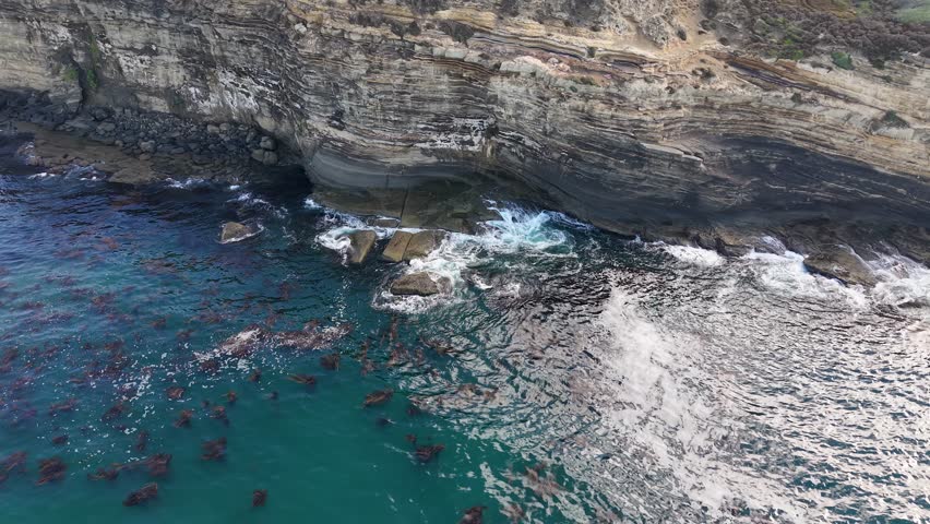 Aerial drone shot of dramatic sea cliffs, crashing surf, and kelp forest along rocky shoreline