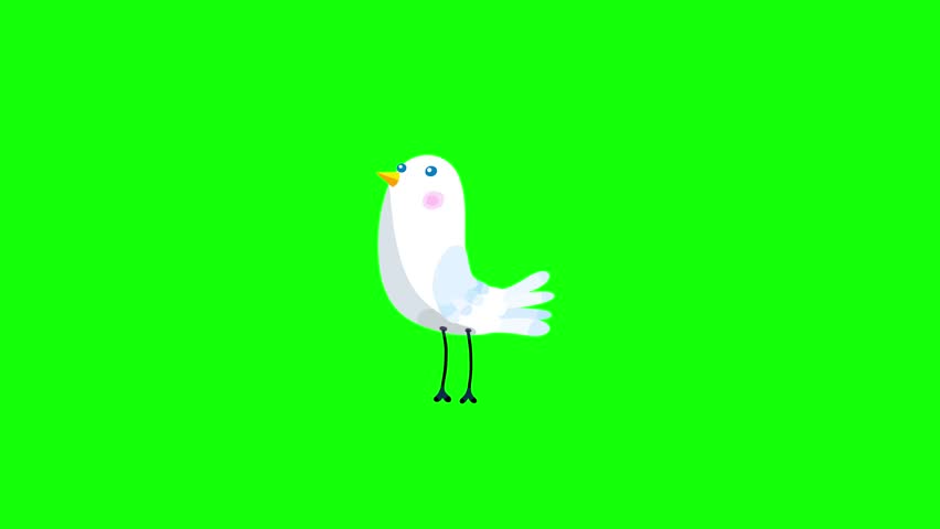 Bird white cartoon animation character starts flight greenbox. Seamless loop behaviour.