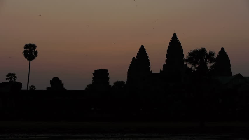 Birds Flying at sunrise over Angkor Wat