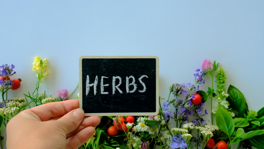 Various medicinal herbs on a white background. Selective focus.